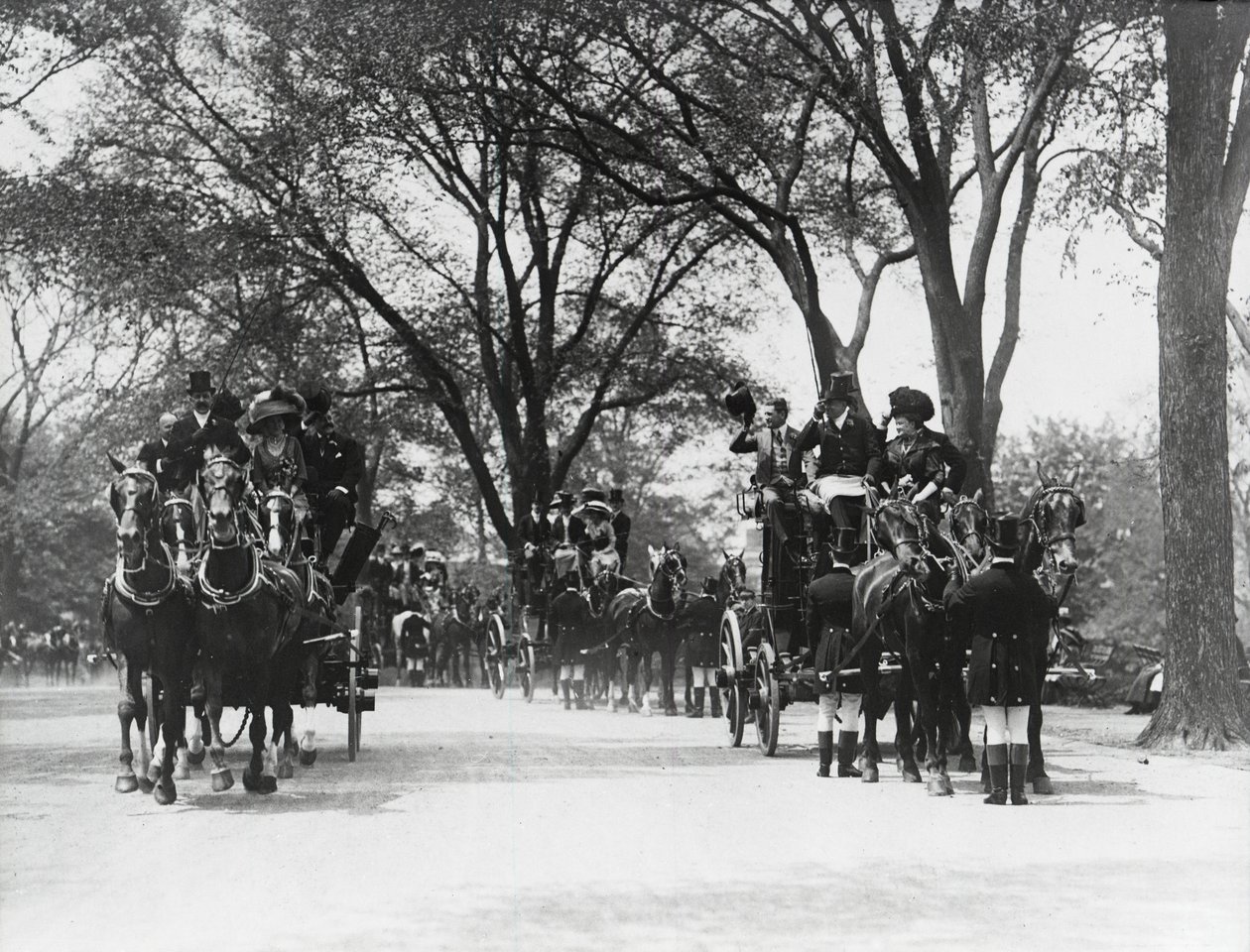 Kutschfahrt, Central Park von Photographer American