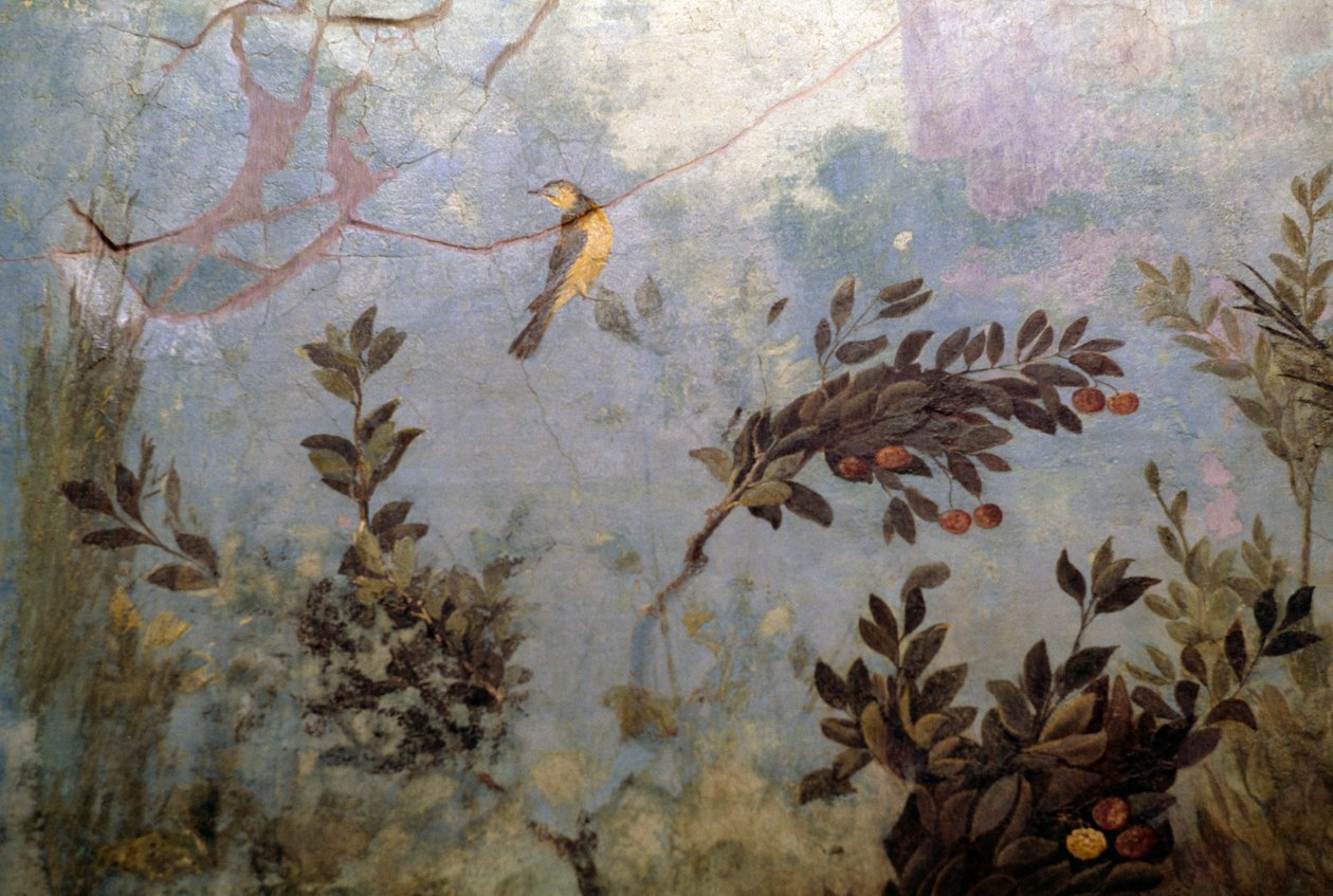 Vogel (Detail) von Blaise Nicolas Le Sueur