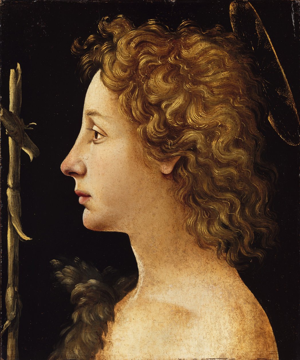 Der junge Heilige Johannes der Täufer von Piero di Cosimo