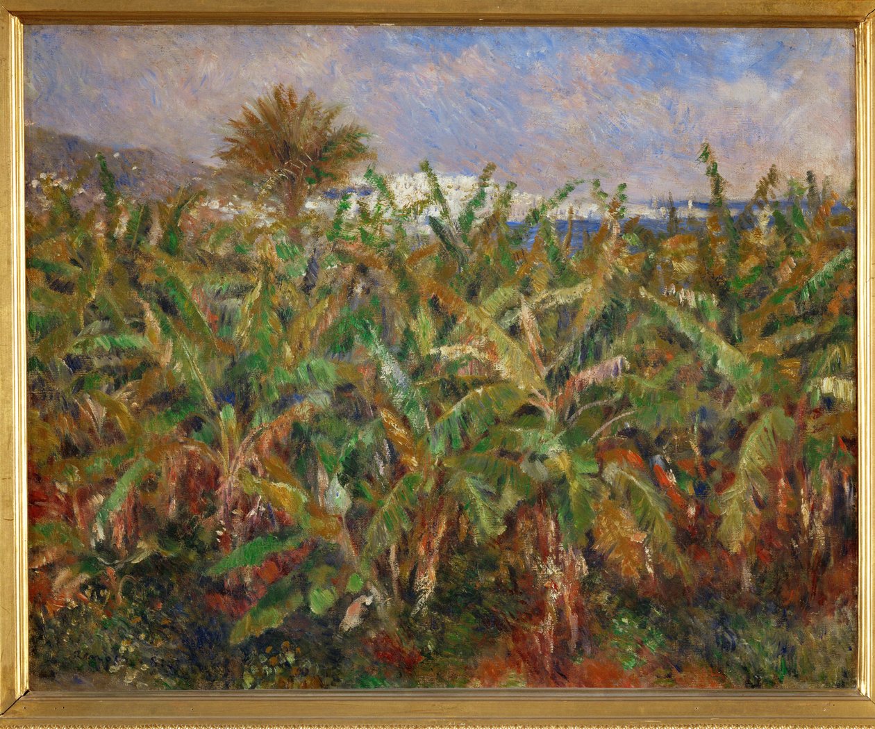 Bananenfelder von Pierre Auguste Renoir