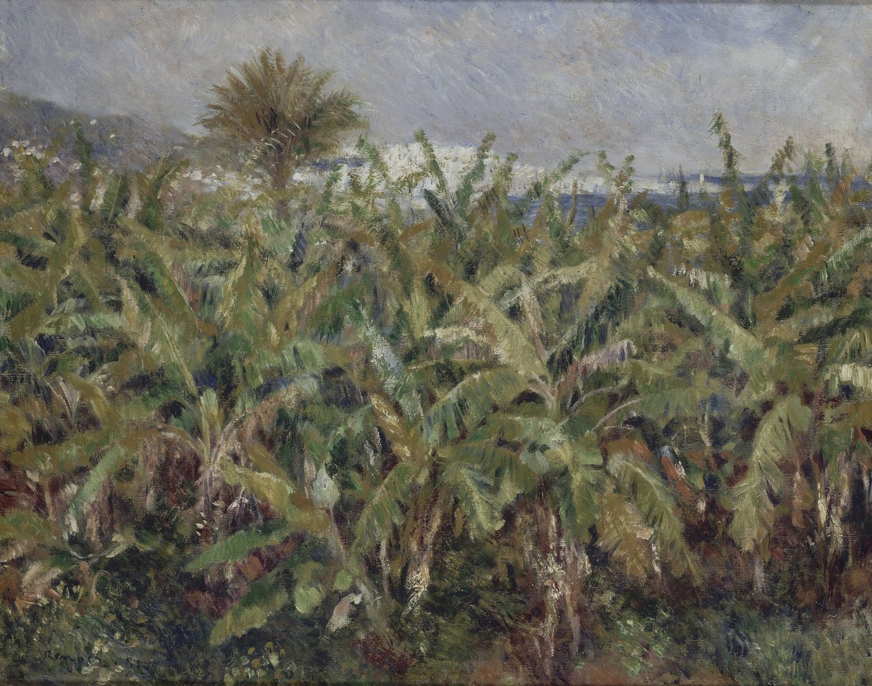 Bananenfeld Champ de bananiers, 1881 von Pierre Auguste Renoir