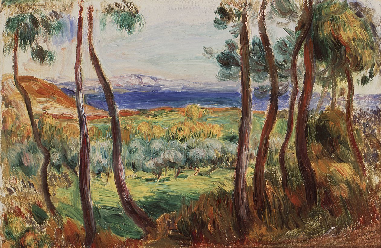 Pins in der Umgebung von Cagnes von Pierre Auguste Renoir