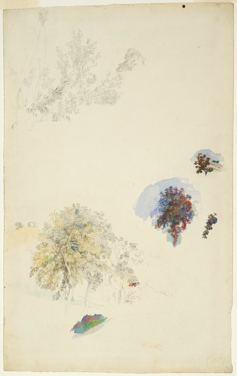 Studien von Bäumen und Laub von Pierre Auguste Renoir