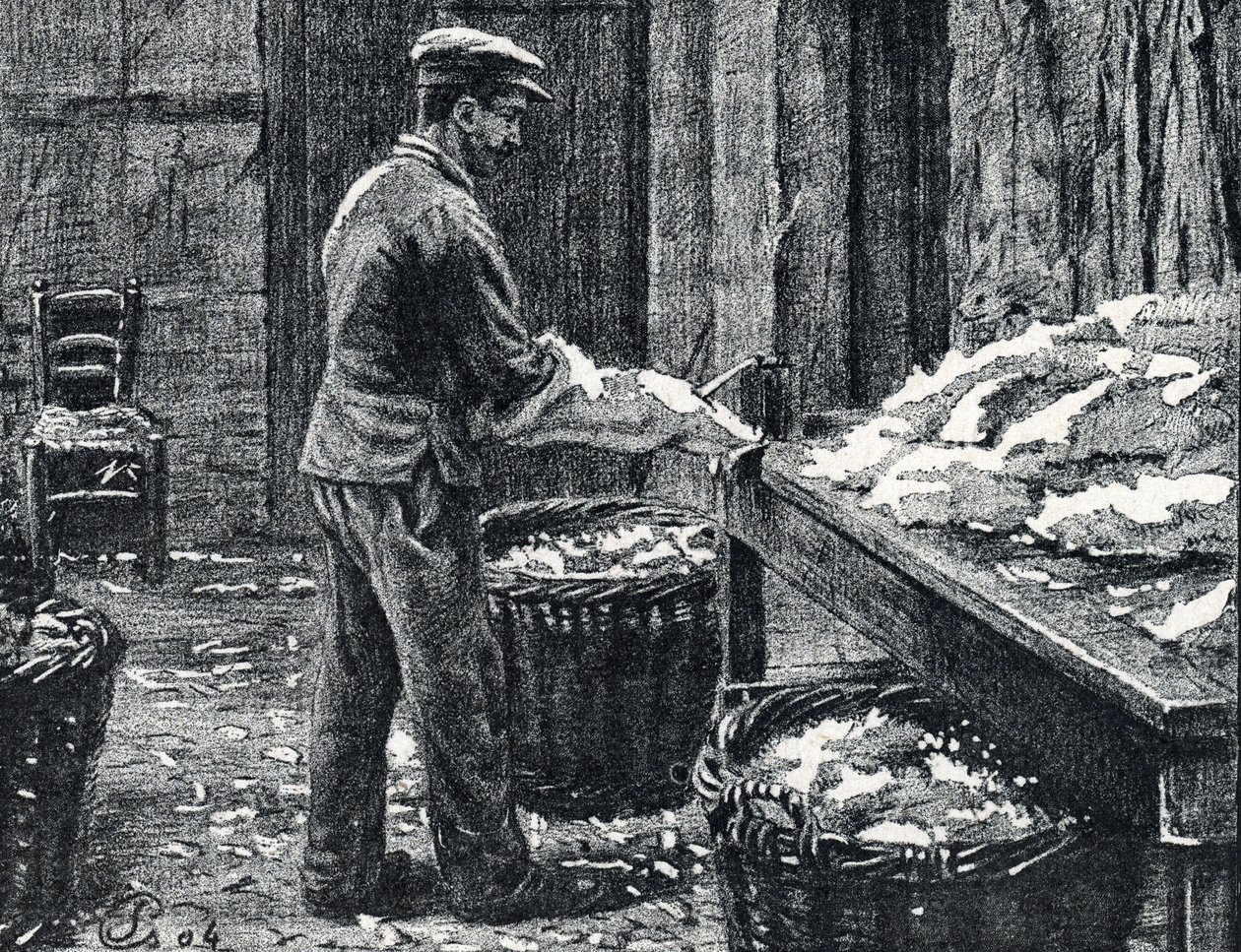 Leder: Spalten von Kaninchenfellen zur Lederherstellung, Gravur aus ...