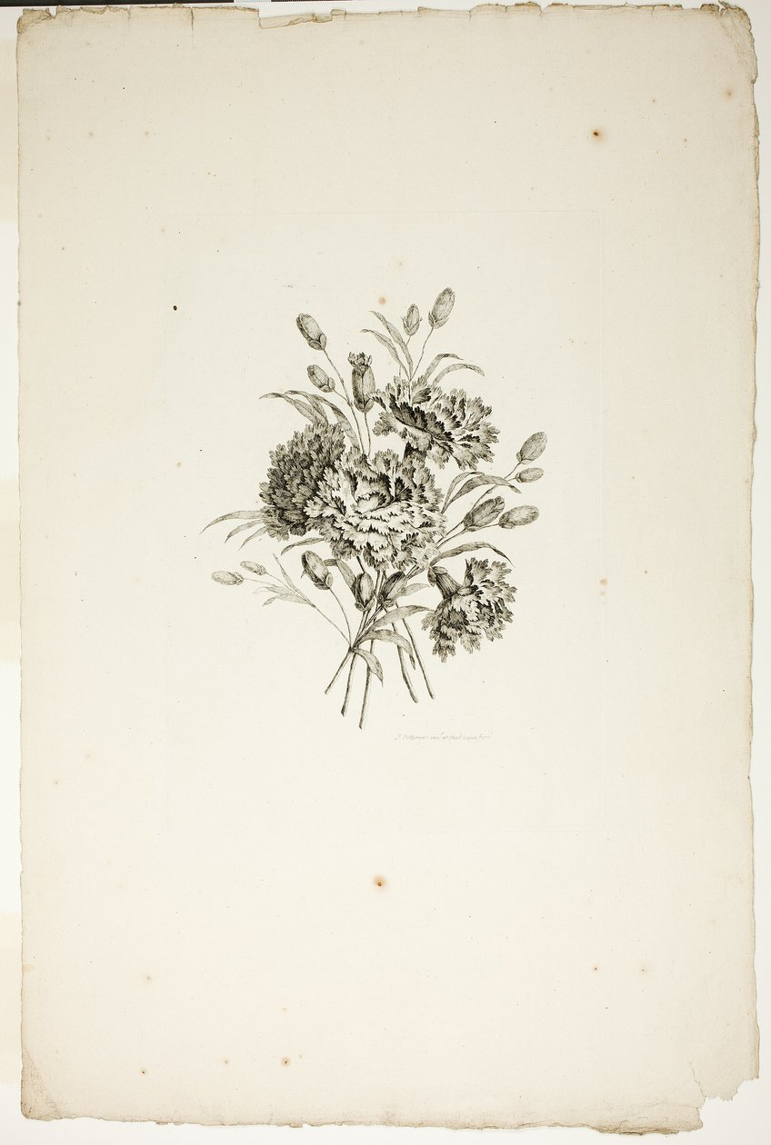Blumenstrauß mit Nelken, aus der Sammlung verschiedener Blumensträuße, erfunden und gezeichnet von Jean Pillement und graviert von P. C. Canot von Pierre Charles Canot