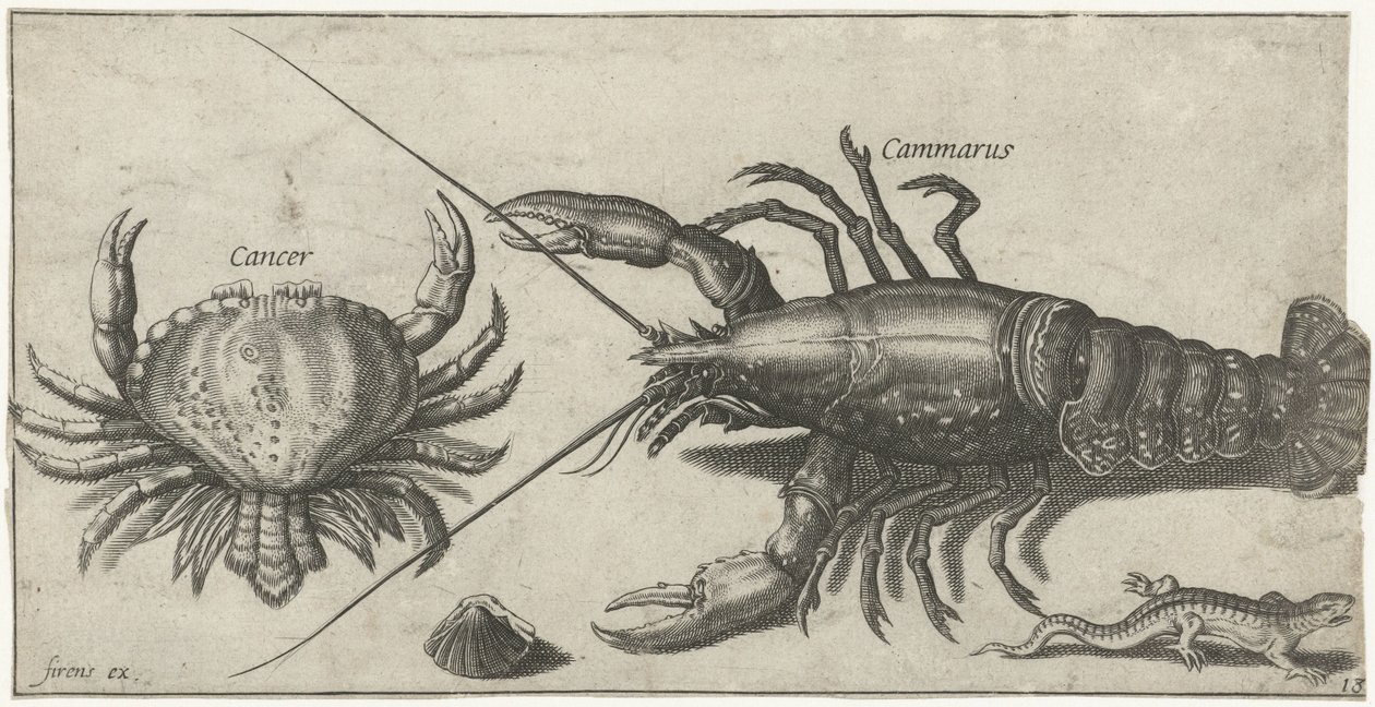 Hummer, Krabbe, Salamander und eine Muschel von Pierre Firens