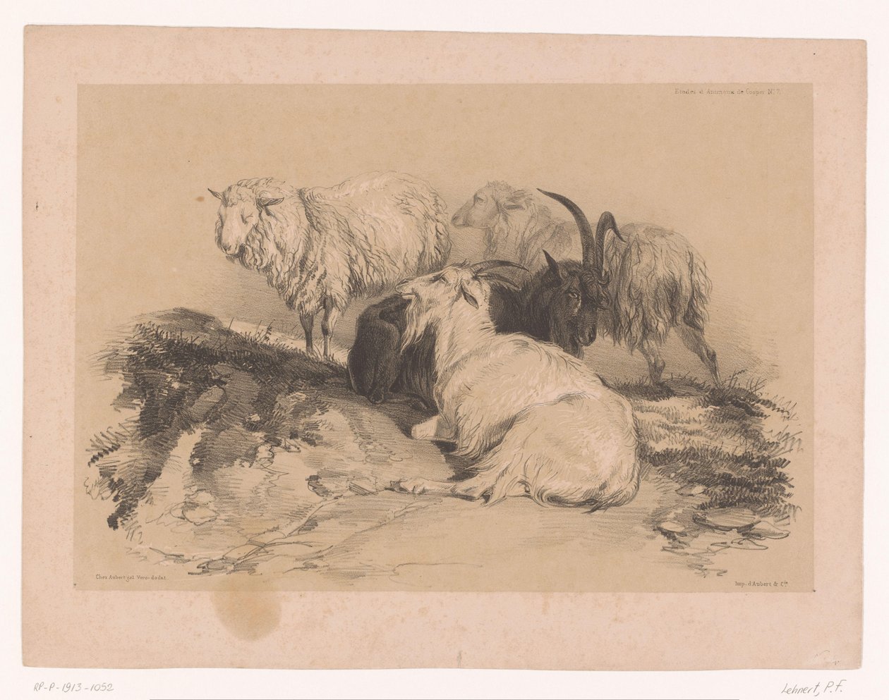 Studie von Schafen und Ziegen von Pierre Frédéric Lehnert