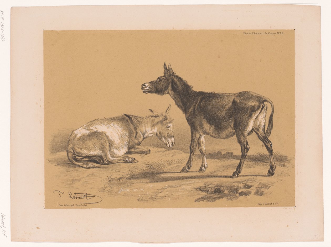 Studie von zwei Eseln von Pierre Frédéric Lehnert