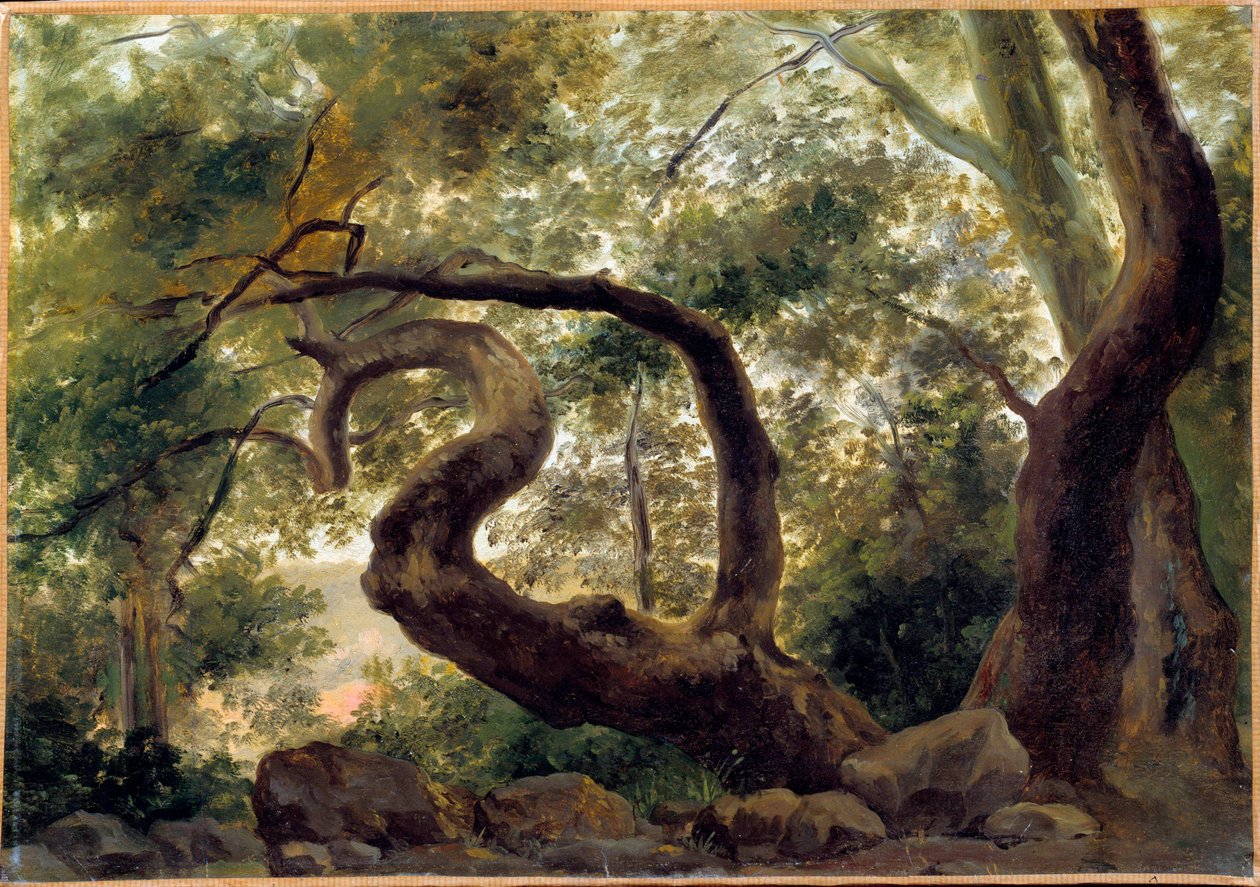 Unter Holz, Bäume mit verdrehten Ästen von Pierre Henri de Valenciennes