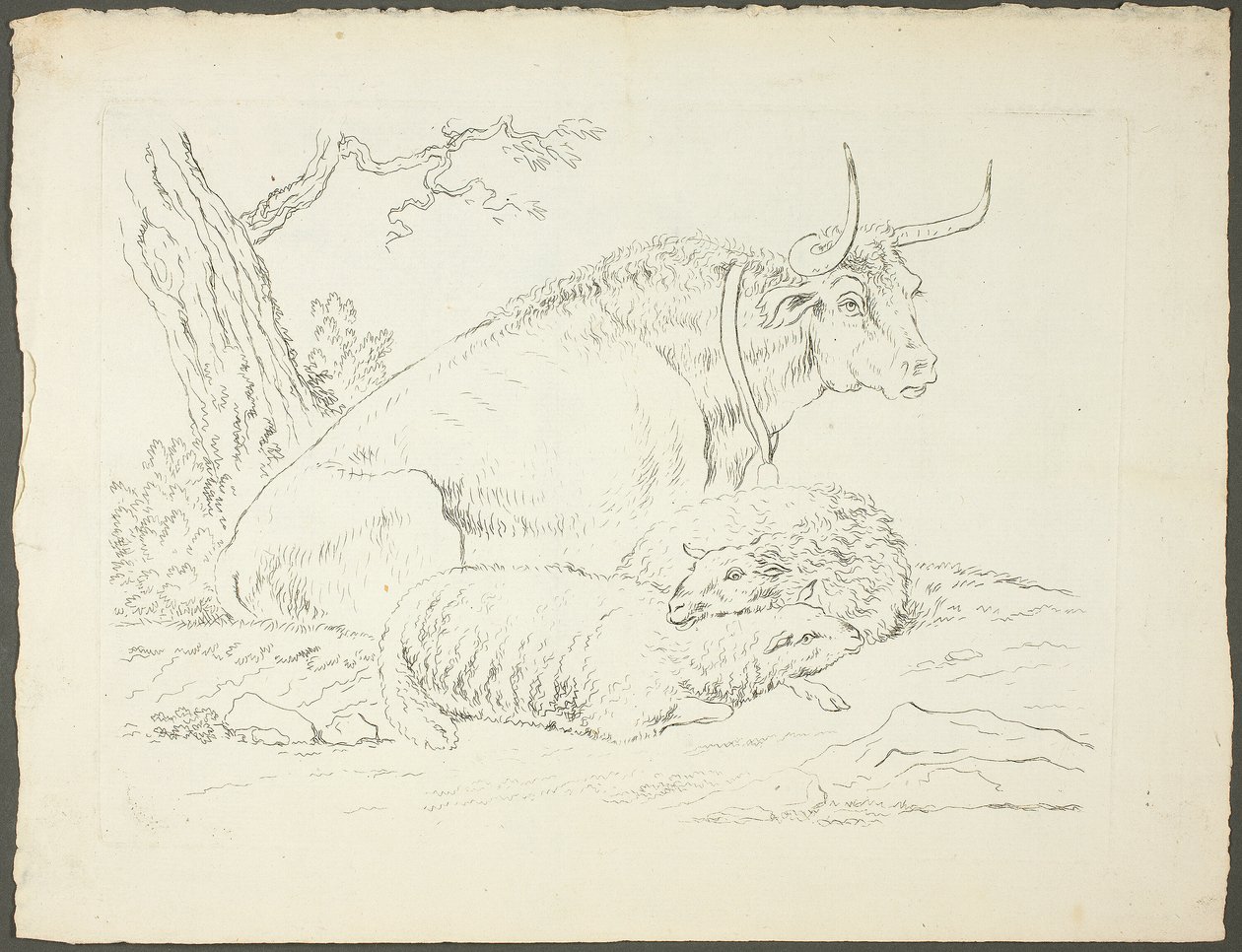 Ein Stier und zwei Schafe von Pierre Lelu