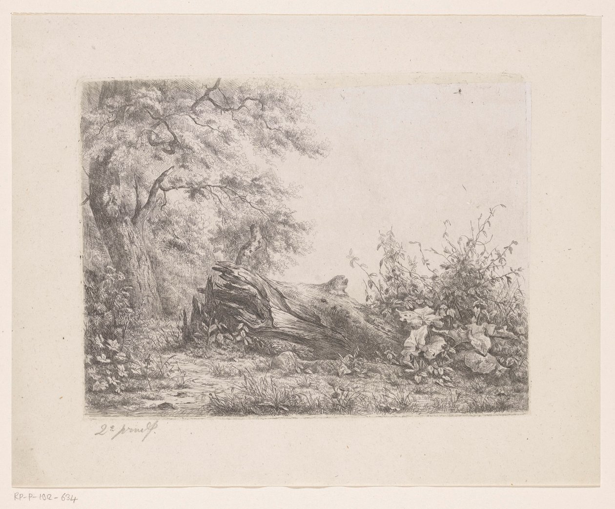 Umgestürzter Baum am Waldrand von Pierre Louis Dubourcq