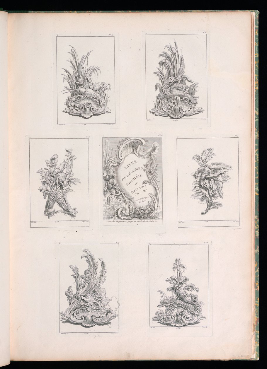 Ornamentdesign mit zwei toten Vögeln auf Acanthuszweig, aus Livre de Legumes von Pierre Quentin Chedel