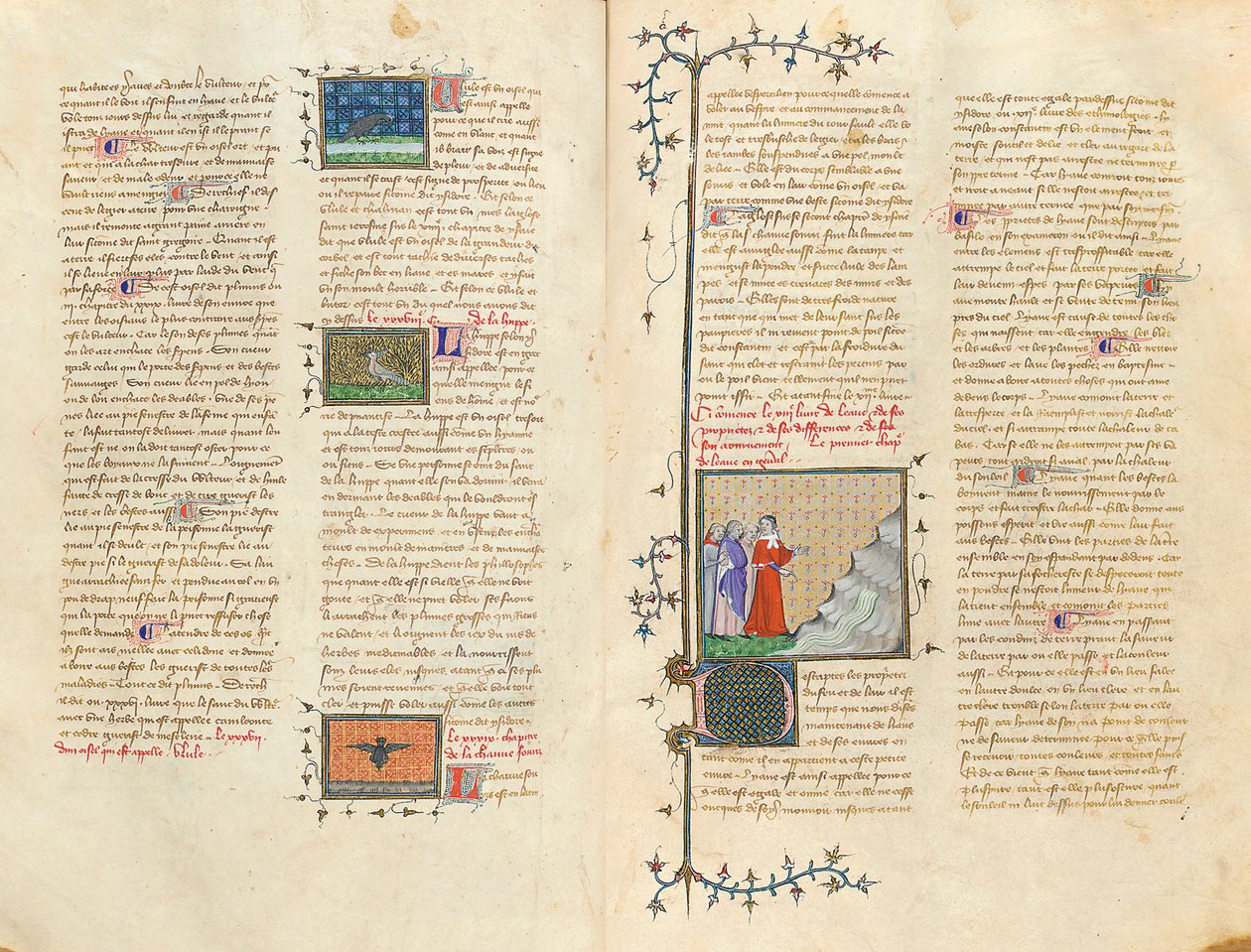 Seite aus "De Proprietatibus Rerum" von Bartholomeus Anglicus, in der französischen Übersetzung von Jean Corbechon, ca. 1390 von Pierre Remiet