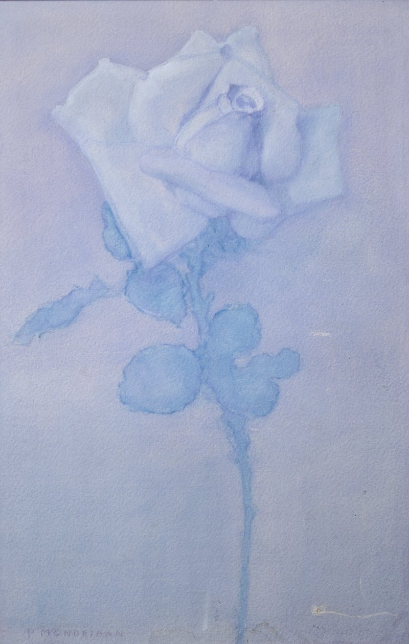 Weiße Rose von Piet Mondrian