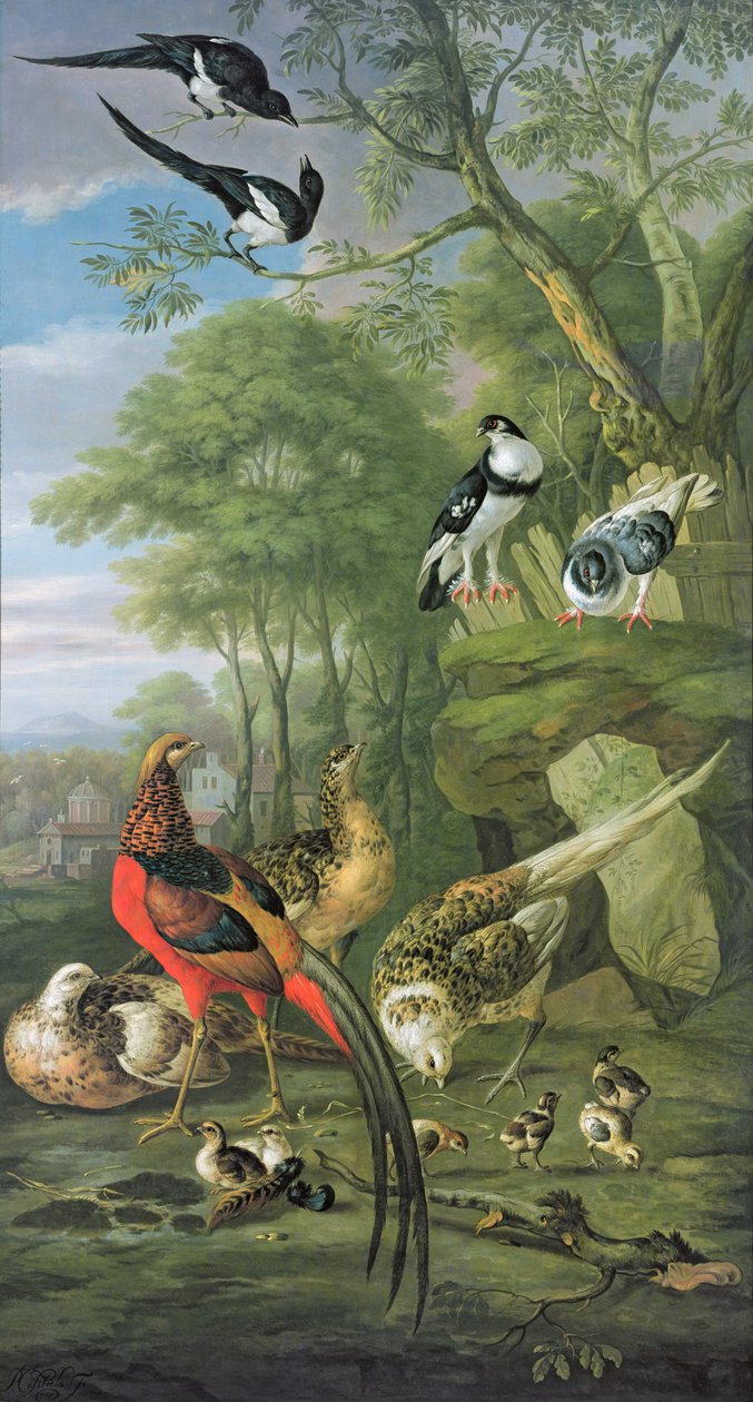 Fasanenhahn, Fasanenhenne und Küken und andere Vögel in einer klassischen Landschaft von Pieter Casteels