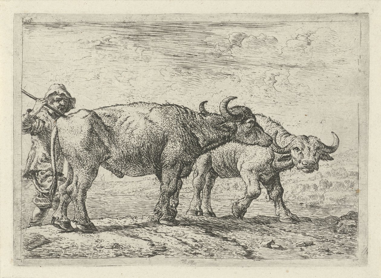 Zwei Büffel und ein Hirte von Pieter Bodding van Laer