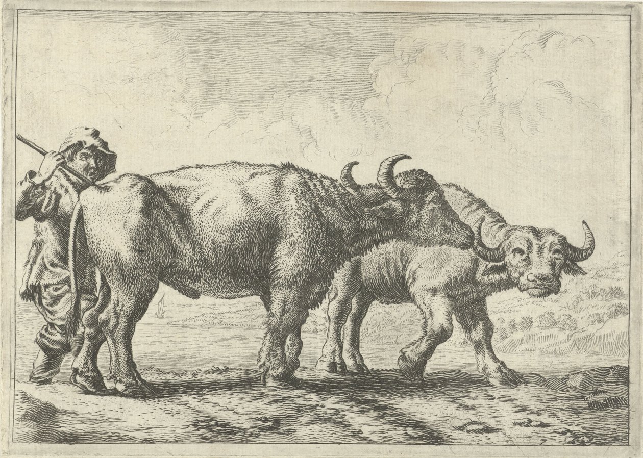 Zwei Büffel und ein Hirte von Pieter Bodding van Laer