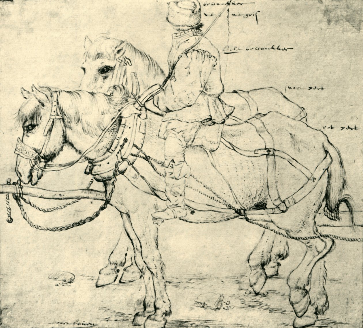 Reiter und zwei Pferde, 1559-1563, 1943 von Pieter Bruegel the Elder