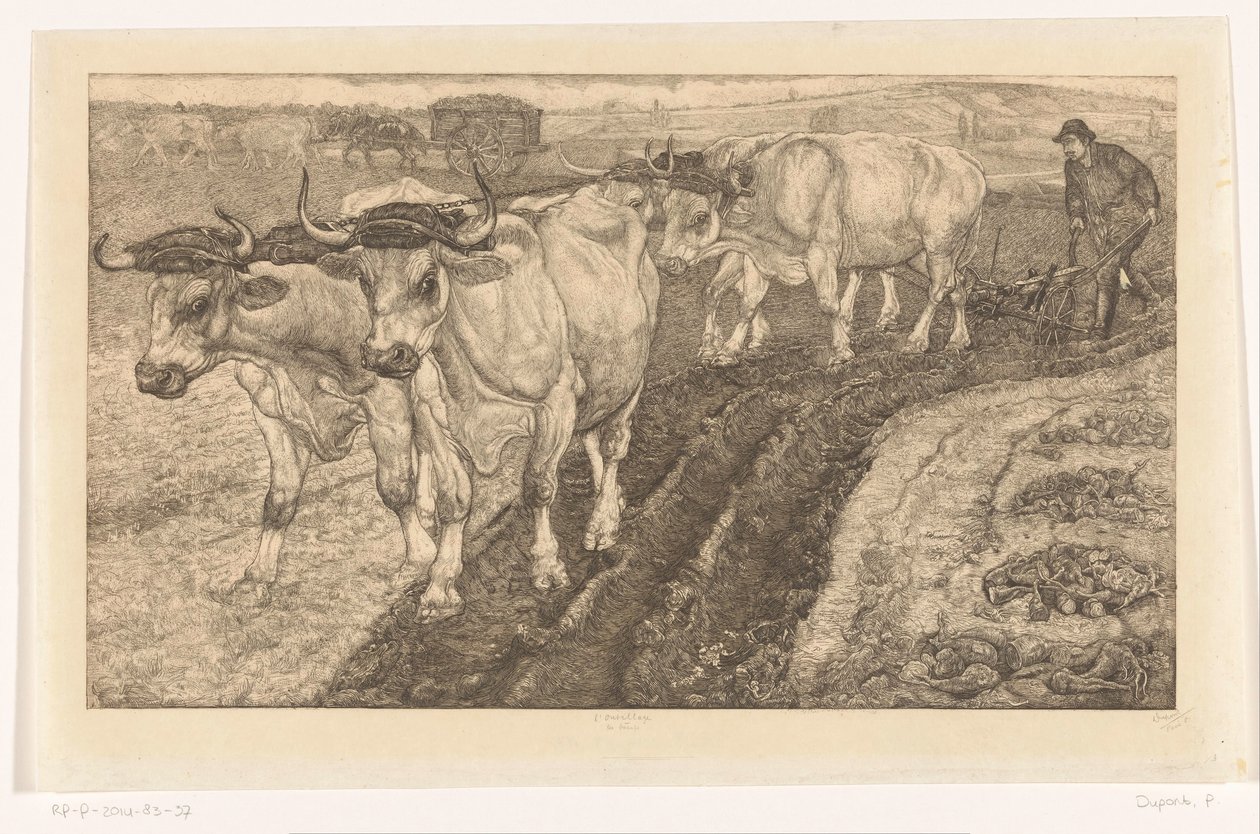 Les Boeufs von Pieter Dupont (signed by artist)