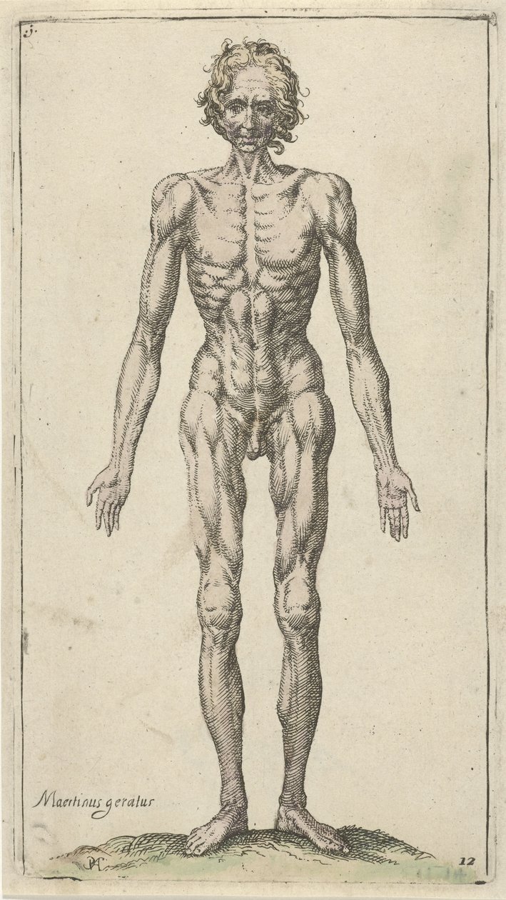Studie eines nackten Mannes von Pieter Feddes van Harlingen