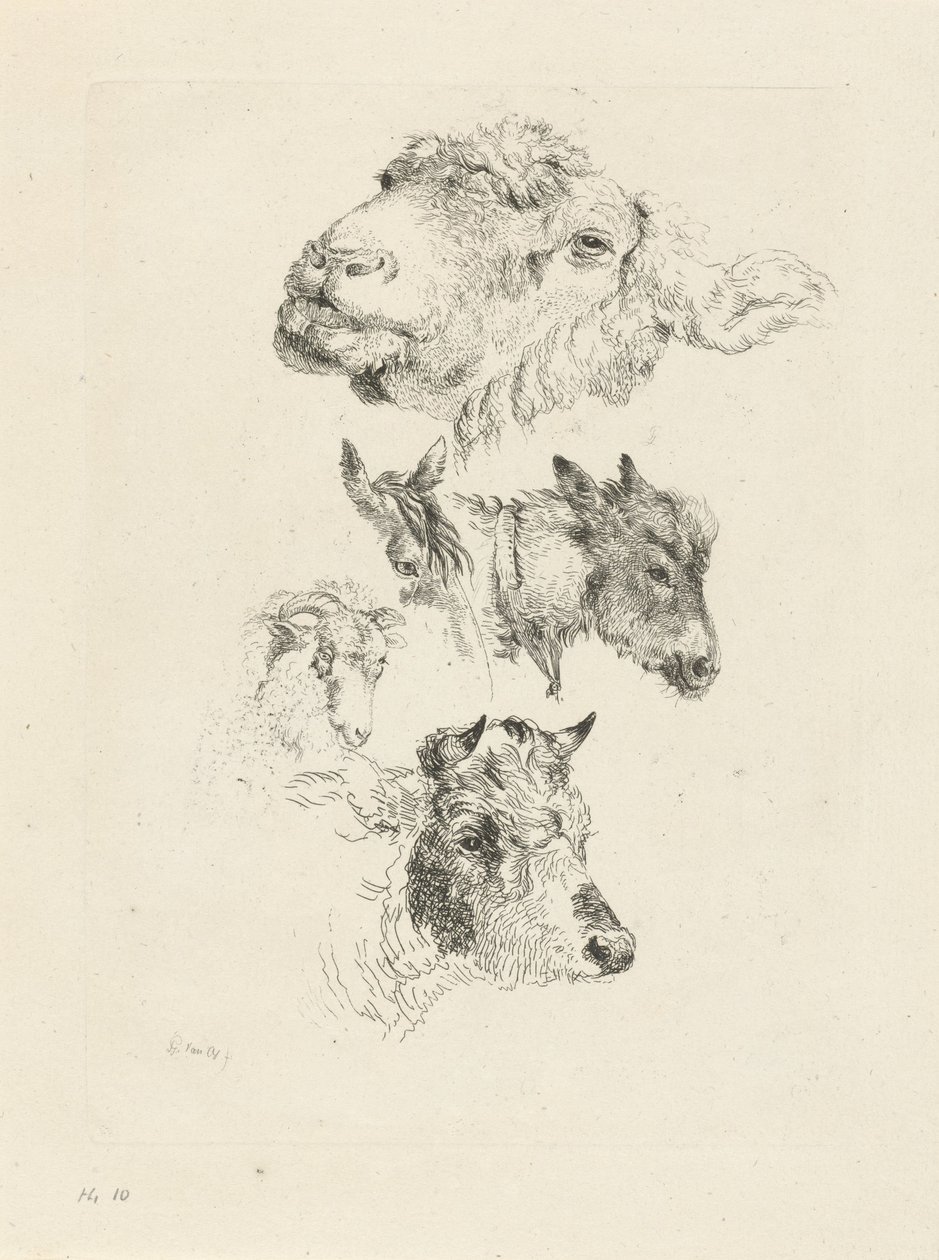 Studienblatt mit Schaf-, Pferde-, Esel-, Widder- und Stierköpfen von Pieter Gerardus van Os