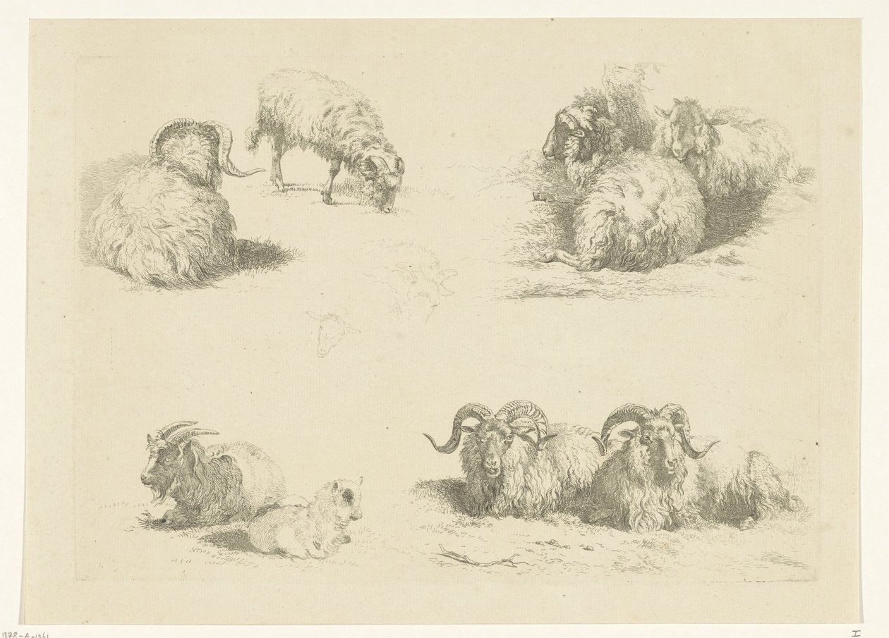 Vier Darstellungen mit Schafen und Ziegen von Pieter Gerardus van Os