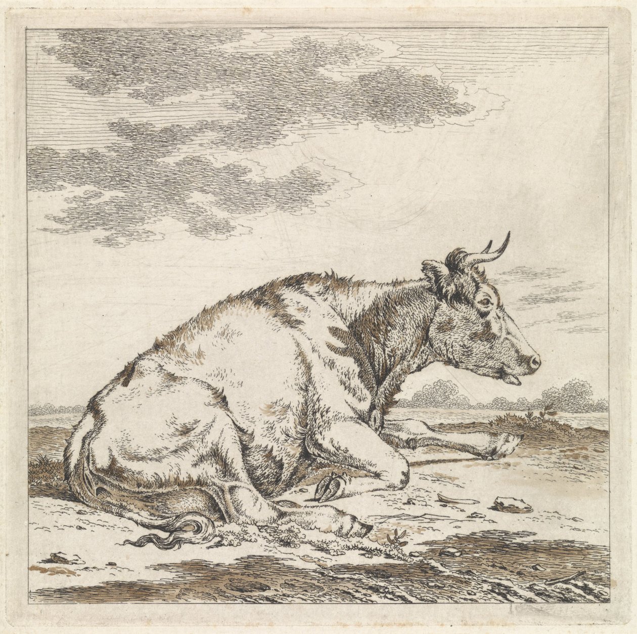 Liegende Kuh, nach rechts von Pieter Janson