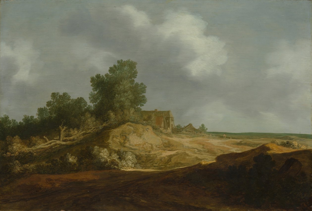Landschaft mit einem Häuschen von Pieter Molijn