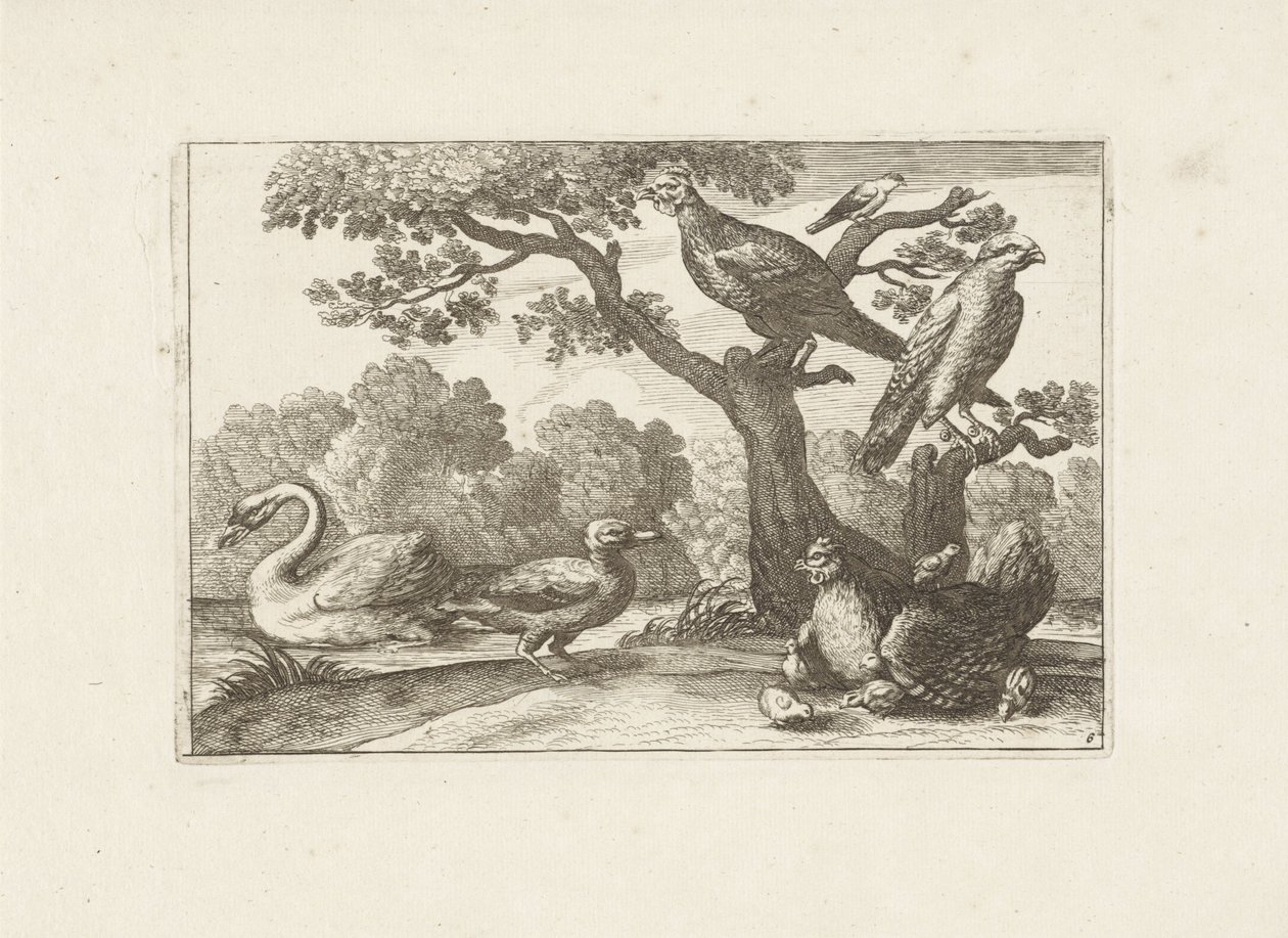Huhn mit Küken und anderen Vögeln von Pieter Schenk (I) (attributed to)