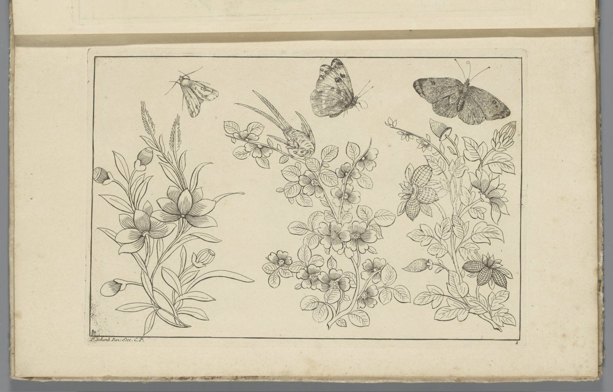 Drei Blumenstängel und drei Schmetterlinge von Pieter Schenk (II)