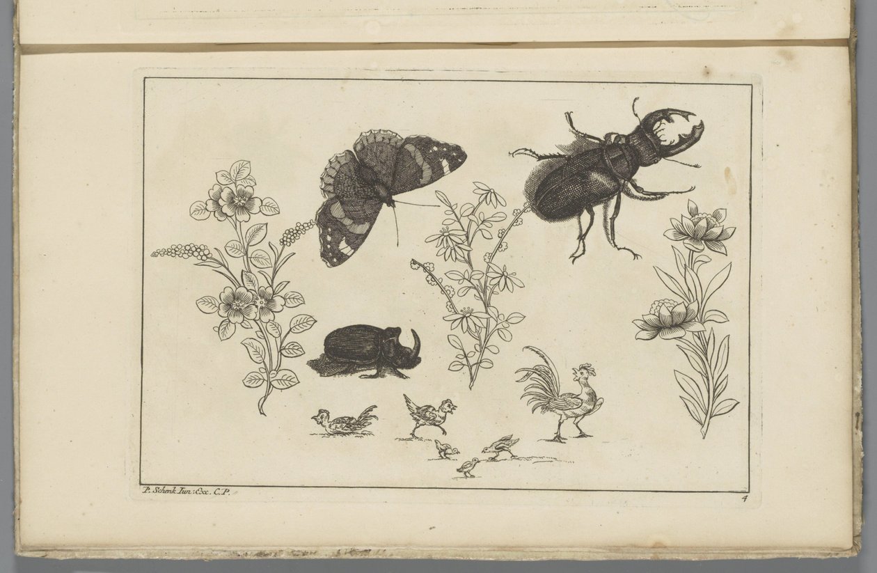 Drei Blumenstängel mit Nashornkäfer, Schmetterling und Käfer von Pieter Schenk (II)