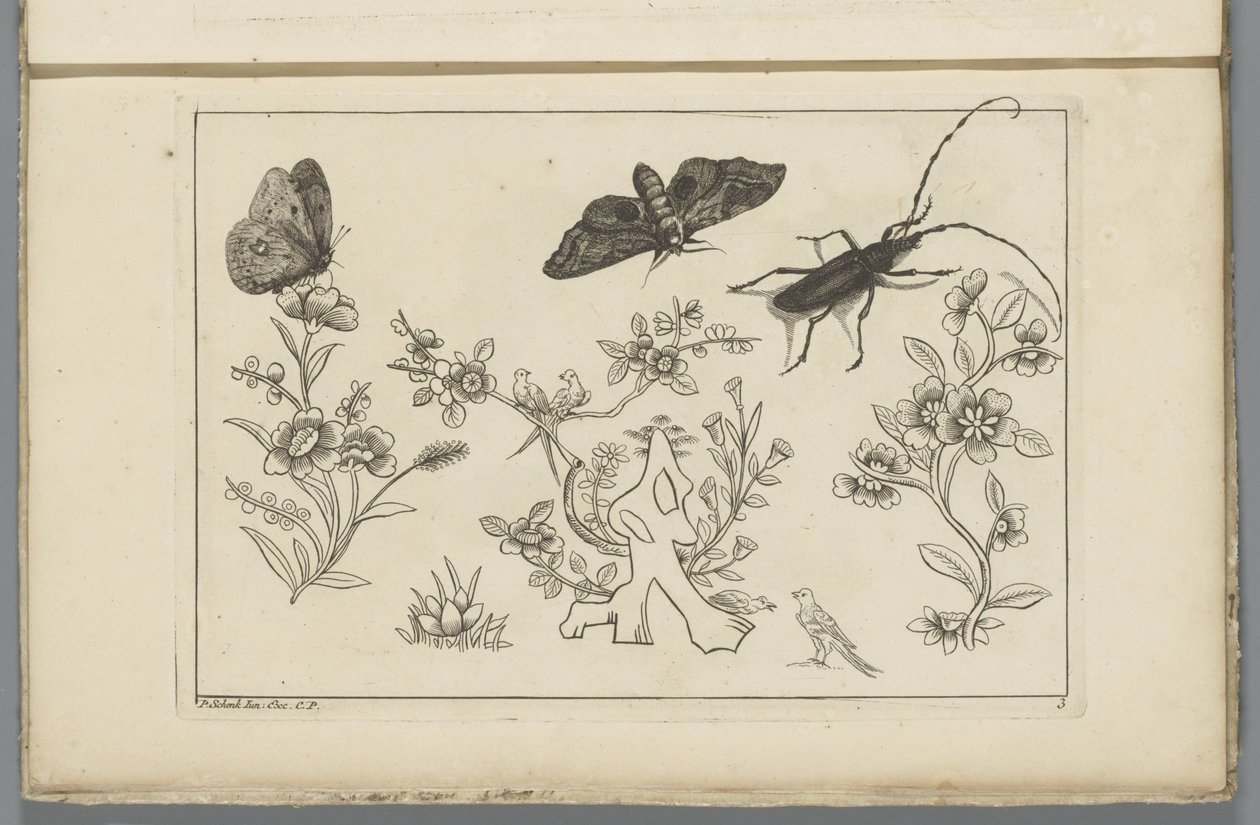 Drei Blütenzweige mit Vögeln, Schmetterlingen und einem Insekt von Pieter Schenk (II)