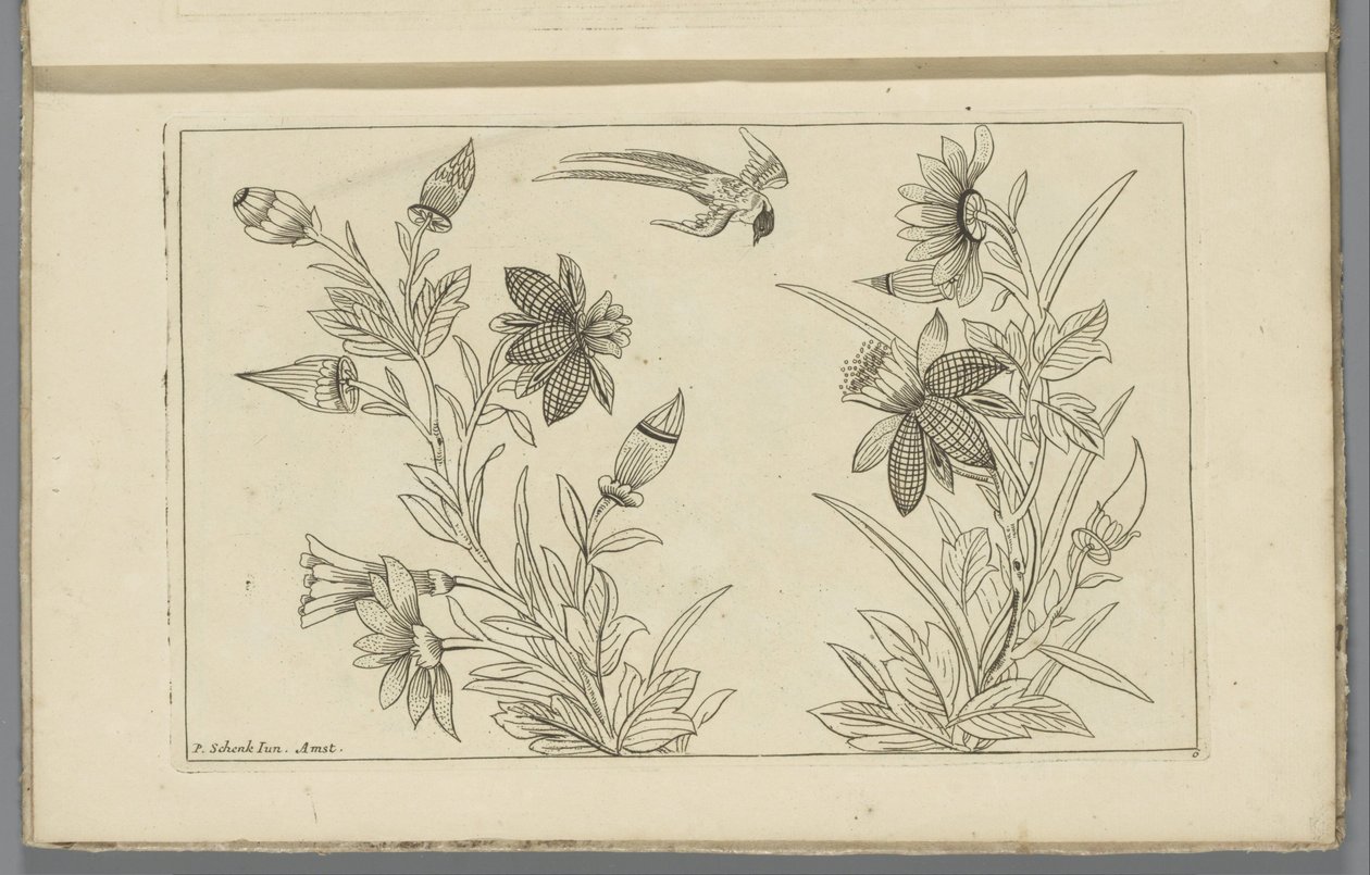 Zwei Blumensträucher und eine Schwalbe von Pieter Schenk (II)