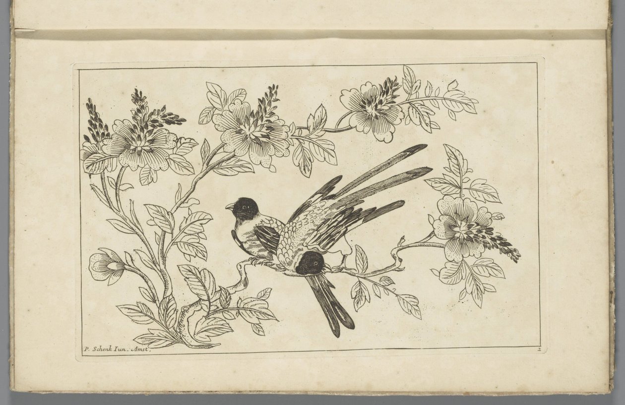 Zwei Vögel auf einem Blütenzweig
Chinesische Blumen und Vögel (Serientitel) von Pieter Schenk (II)