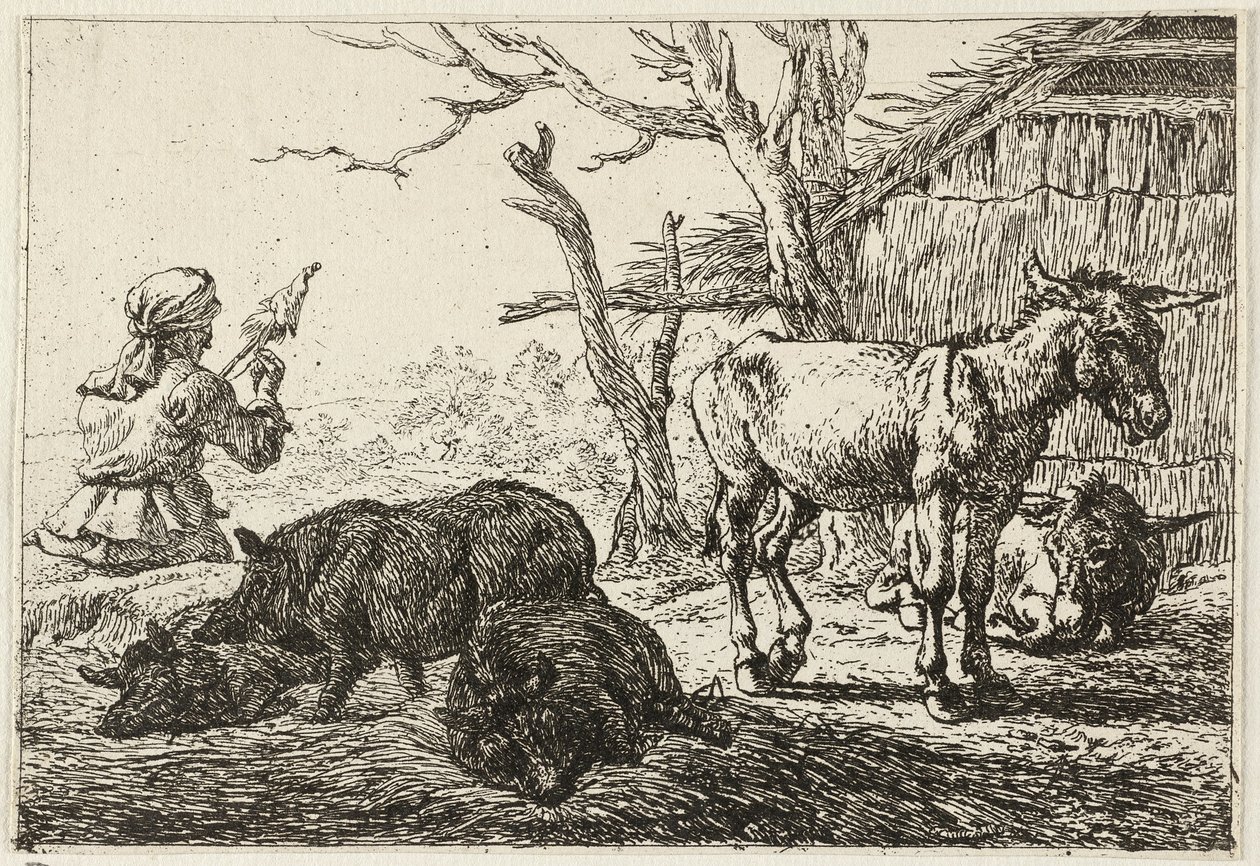 Schweine und Esel in einem Stall, links eine Spinnerin von Pieter van Laer