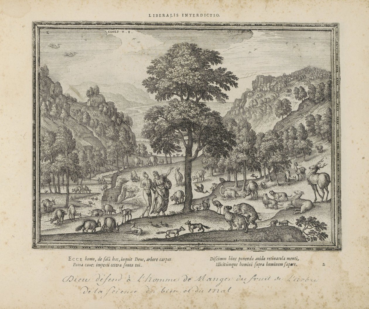 Gott zeigt Adam das Paradies von Pieter van der Borcht (I)