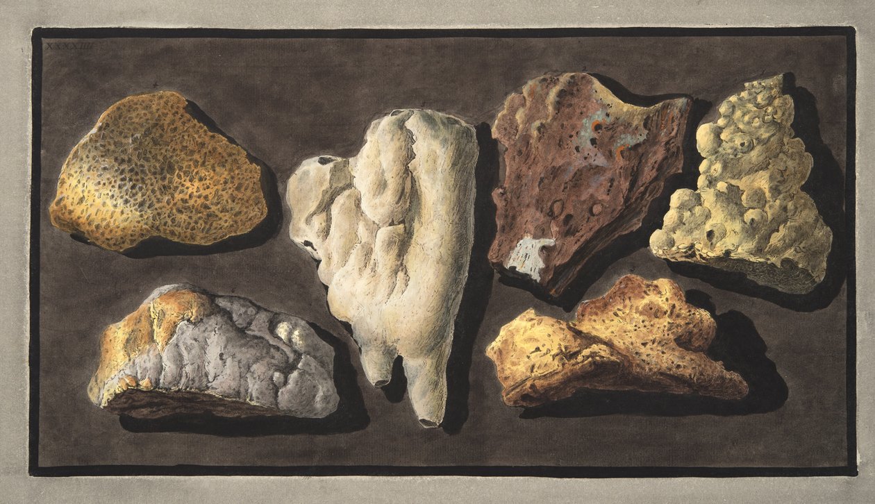 Proben von vulkanischem Material aus dem Inneren des Kraters des Vesuvs, Tafel XXXXIV, aus 