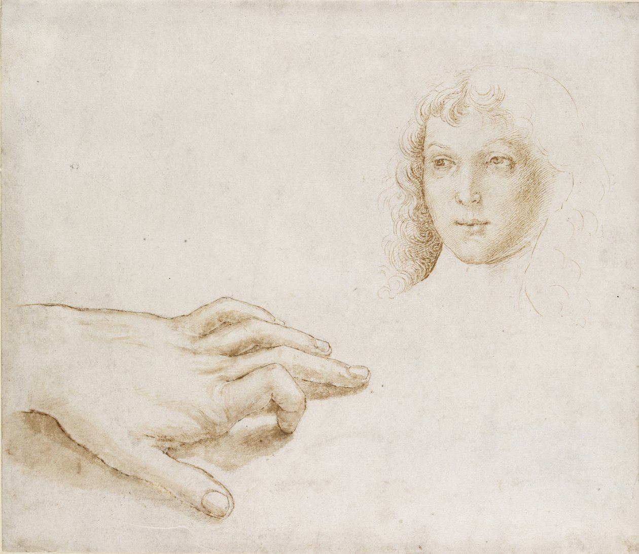Studien eines Kopfes und einer Hand, WA1846.8 von Pietro Perugino