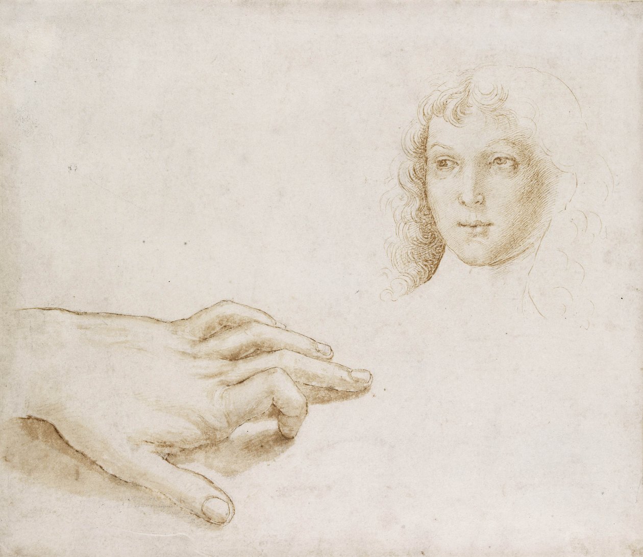 Studien eines Kopfes und einer Hand von Pietro (circle of) Perugino