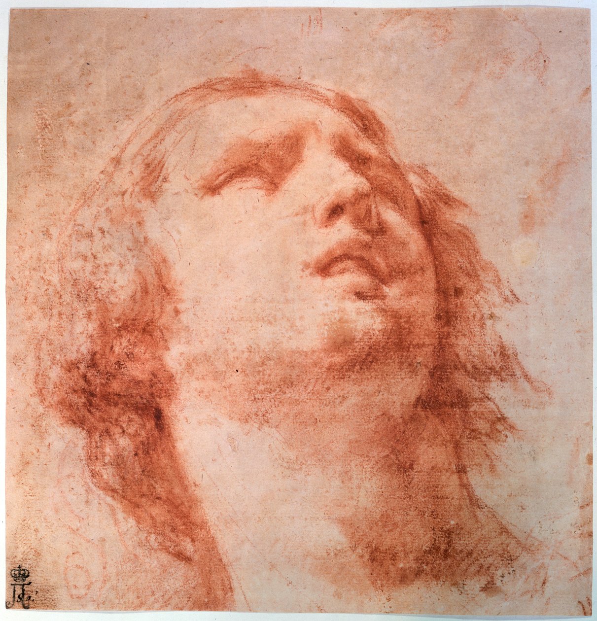 Kopfstudie einer Frau, die nach oben schaut, 17. Jahrhundert von Pietro da Cortona