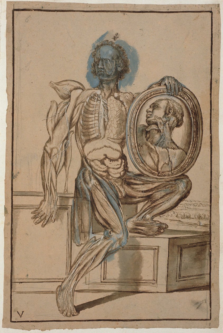 Ms Hunter 653 Tafel V Anatomische Zeichnung, ca. 1610 von Pietro da Cortona