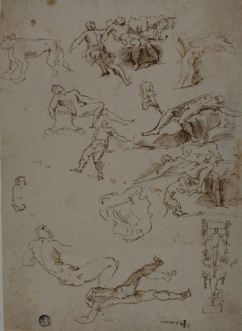 Skizzen von männlichen Akten, Tieren und ornamentalen Details von Polidoro da Caravaggio