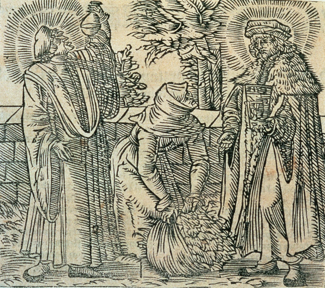 Kräuter für Medizin sammeln, 1534 von Polish School