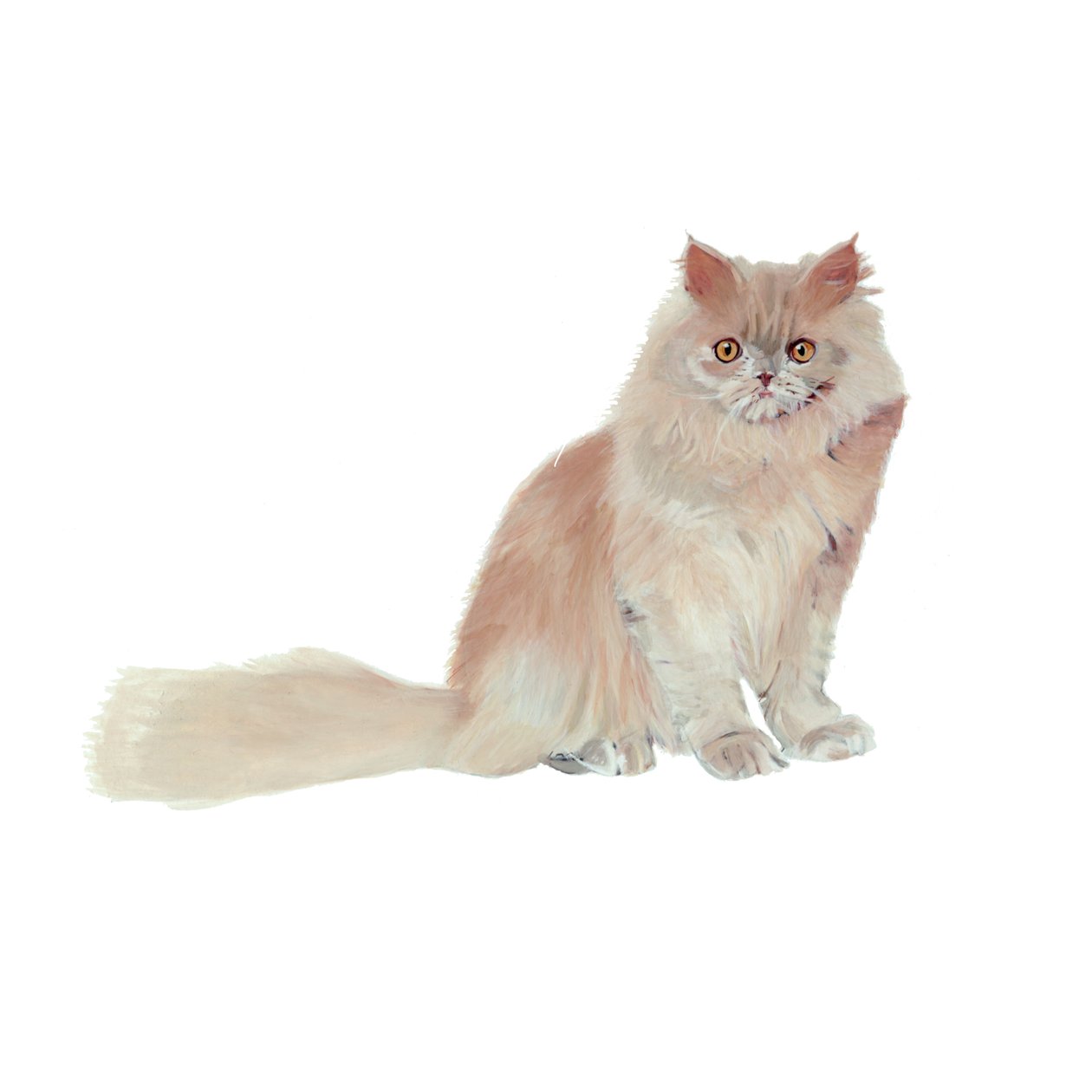 Persischer Flieder von Polly Horner