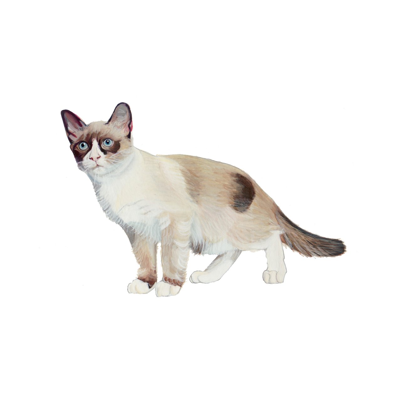 Schneeschuh von Polly Horner