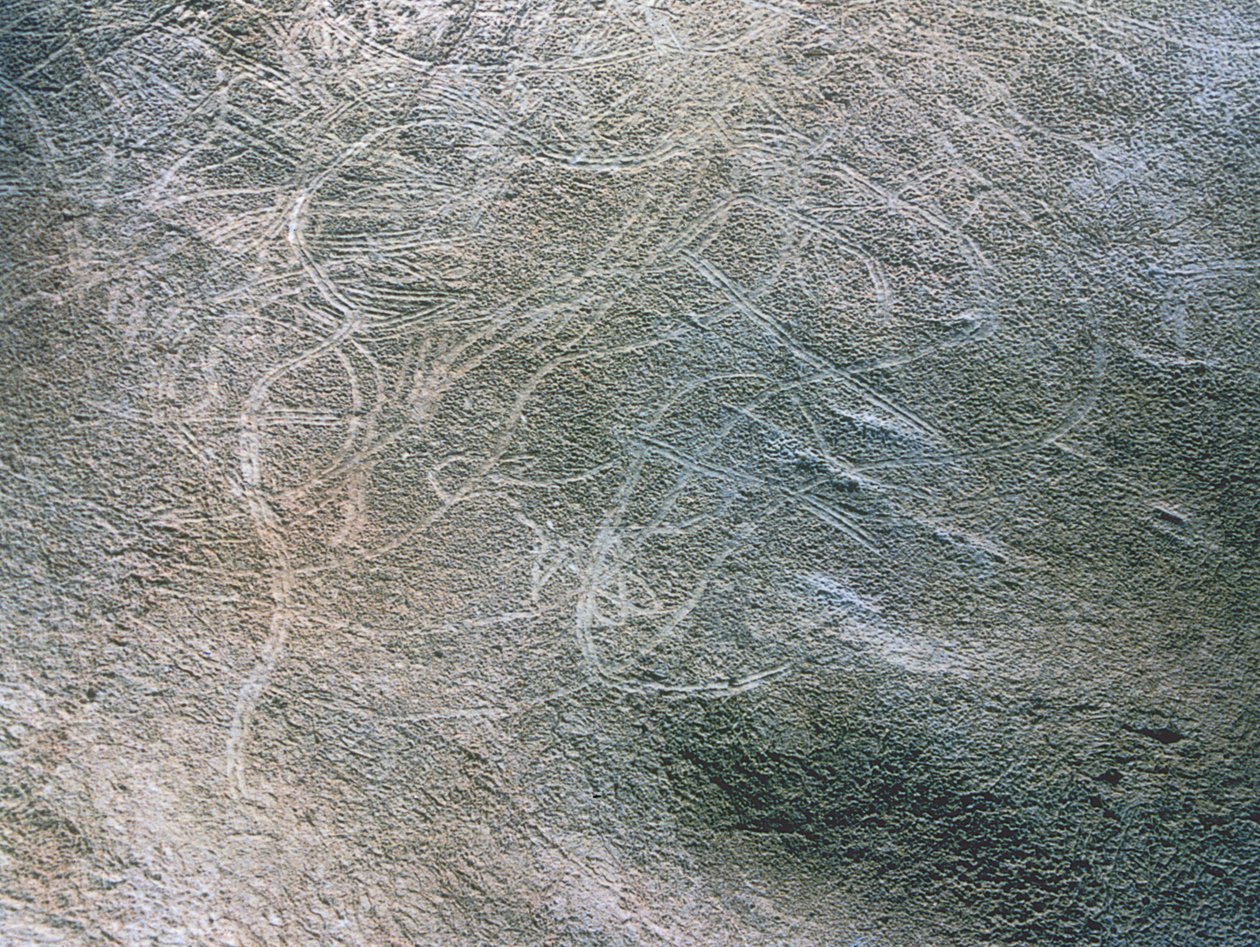 Umrissbilder von menschlichen weiblichen Figuren und Mammuts, Paläolithikum (ca. 40000-12000 v. Chr.) von Prehistoric Prehistoric
