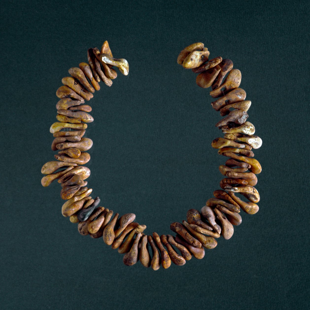 Vorgeschichte, Steinzeit: Halskette aus Knochen aus der Höhle von Polesine, Veneto. Rom, Museo Nazionale Preistorico Etnografico Luigi Pigorini von Prehistoric Prehistoric