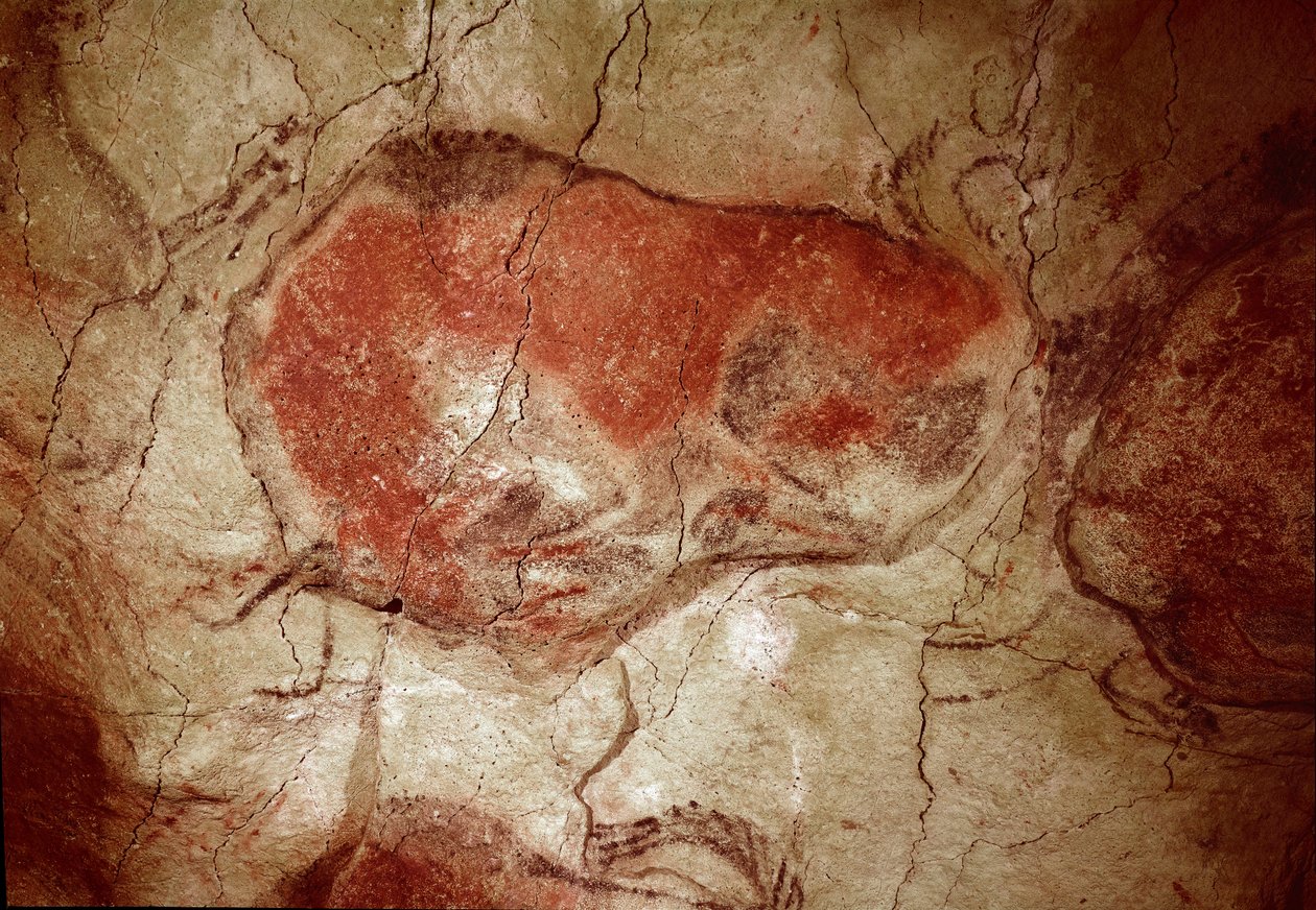 Vorgeschichte: „Bison in Ruhe“ Felsmalerei des Oberen Paläolithikums (Magdalénien) (zwischen 16500 und 14000 Jahren) Bisonhöhle, Altamira, Santander, Spanien von Prehistoric Prehistoric