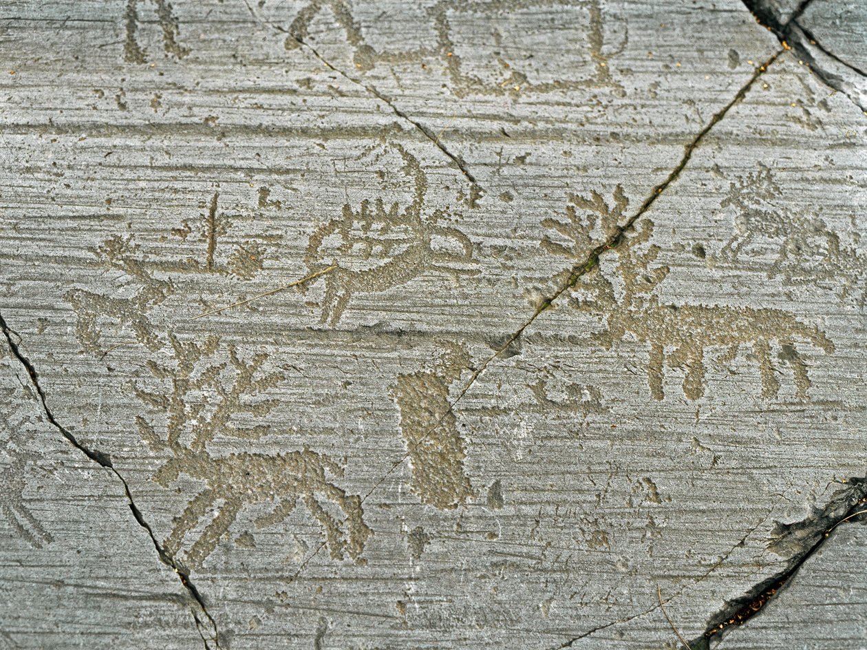 Felskunst der Camunni-Zivilisation: Grabfelsen mit Darstellung von Hirschen von Prehistoric Prehistoric