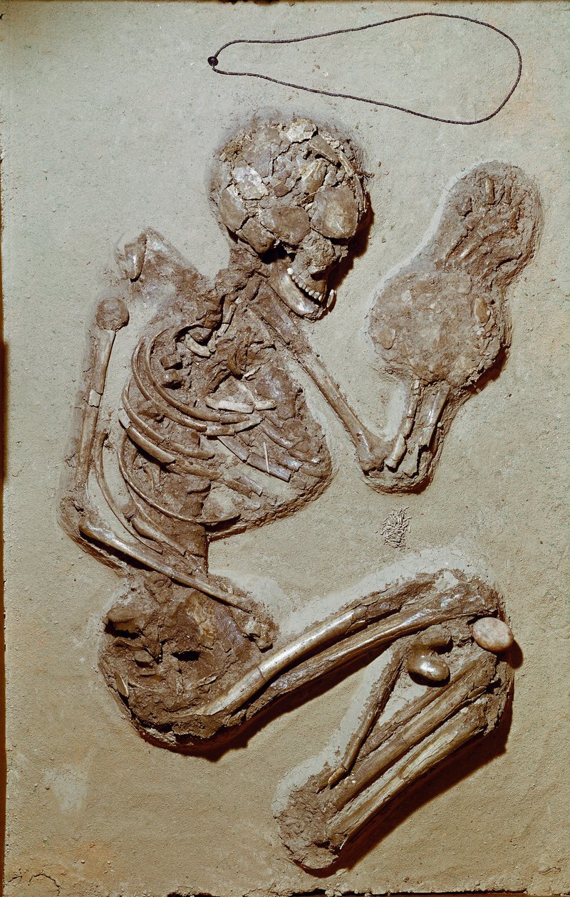 Vorgeschichte: weibliches Skelett aus dem Oberen Neolithikum. Kultur von Chiozza. 2900-2700 v. Chr. Reggio Emilia, Musei Civici, Museo Chierici, Italien von Prehistoric Prehistoric